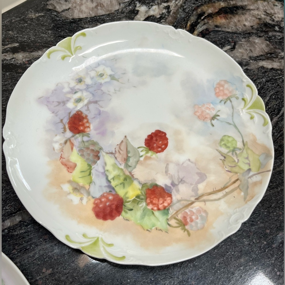 Limoges France Two  Signed Floral Design Porcelain Luncheon Plates